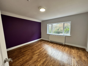 Purple Accent Wall